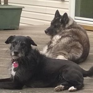 Meet your Posher, Valentina